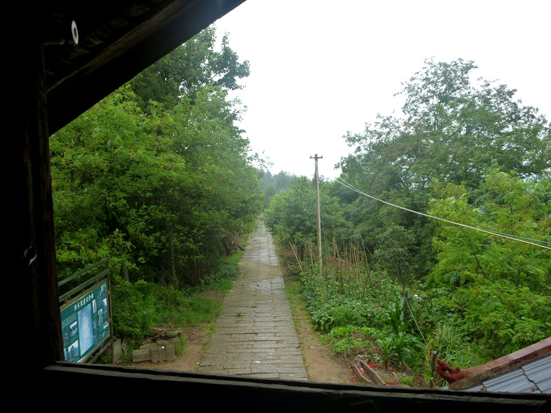 p1150738_.jpg