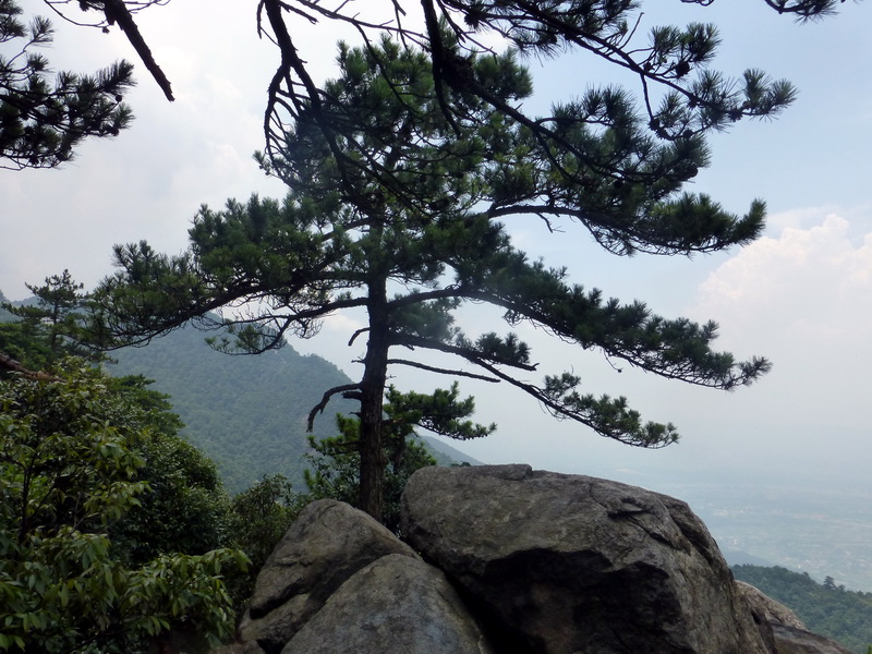p1090311.jpg