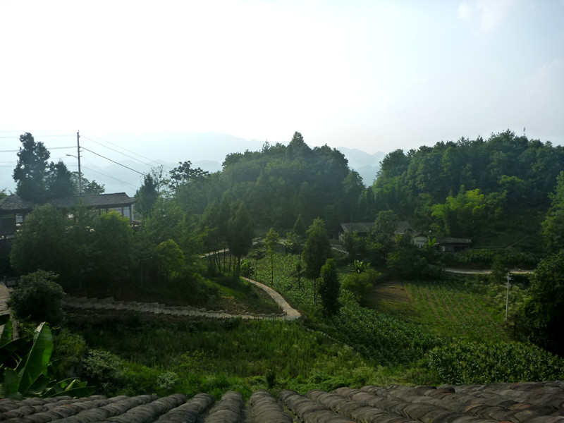 p1150754_.jpg