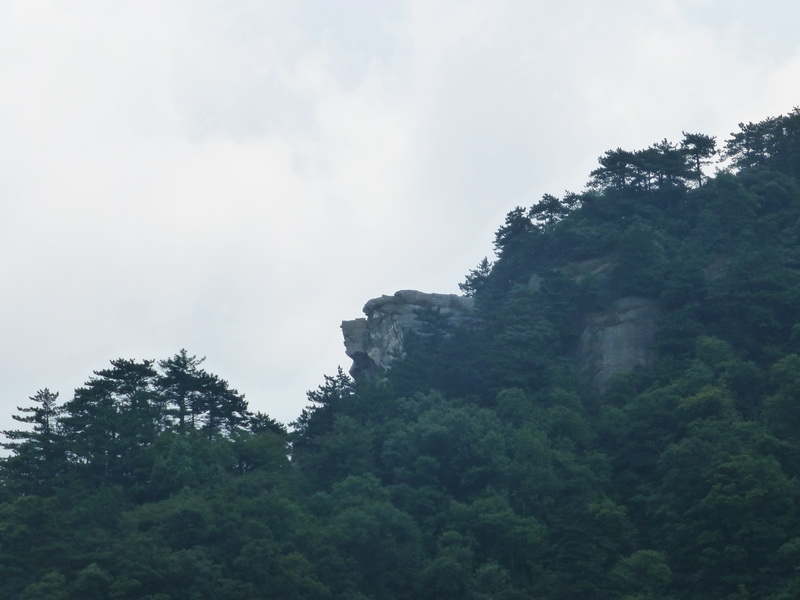 p1090330.jpg