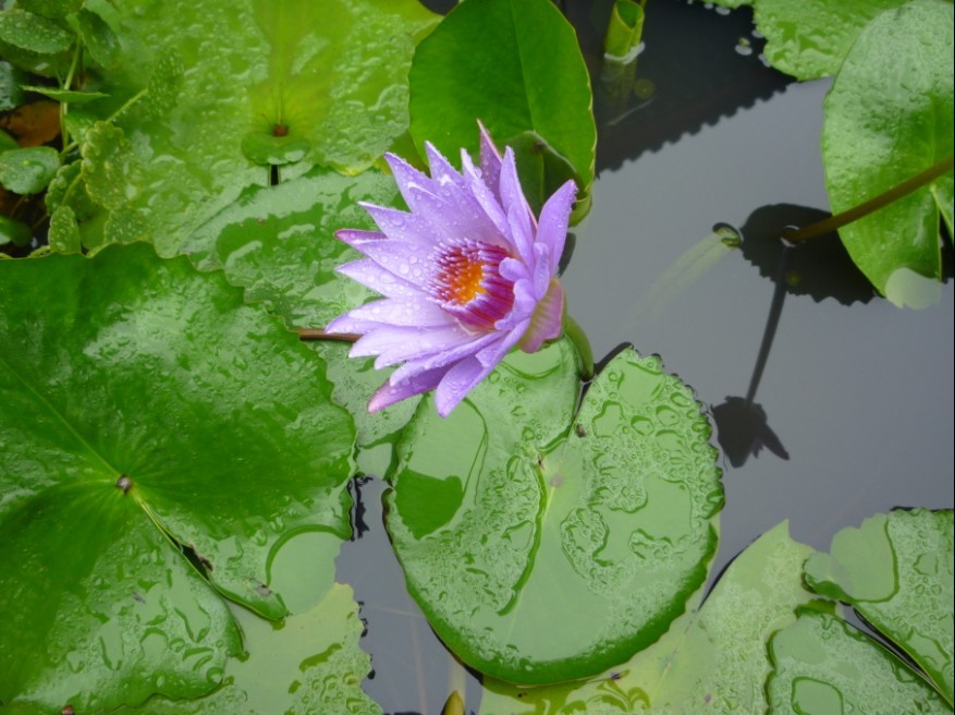 qqͼƬ20130718142542.jpg