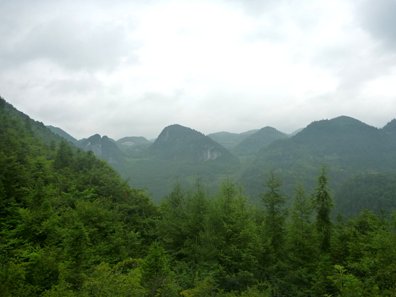 p1150780_副本.jpg