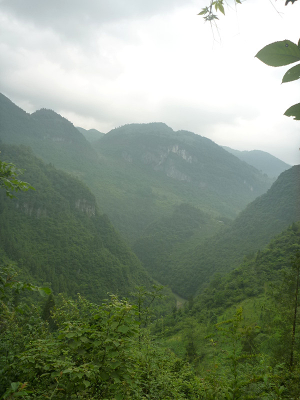 p1150782_副本.jpg