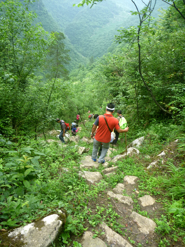 p1150783_副本.jpg