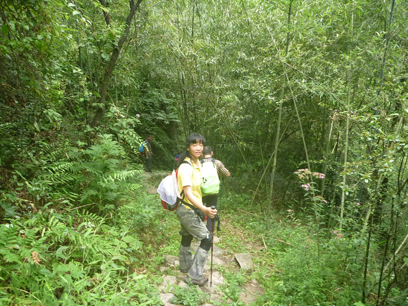 p1150785_副本.jpg