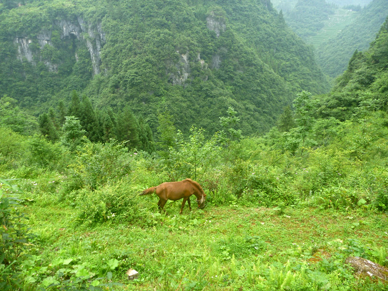 p1150787_副本.jpg