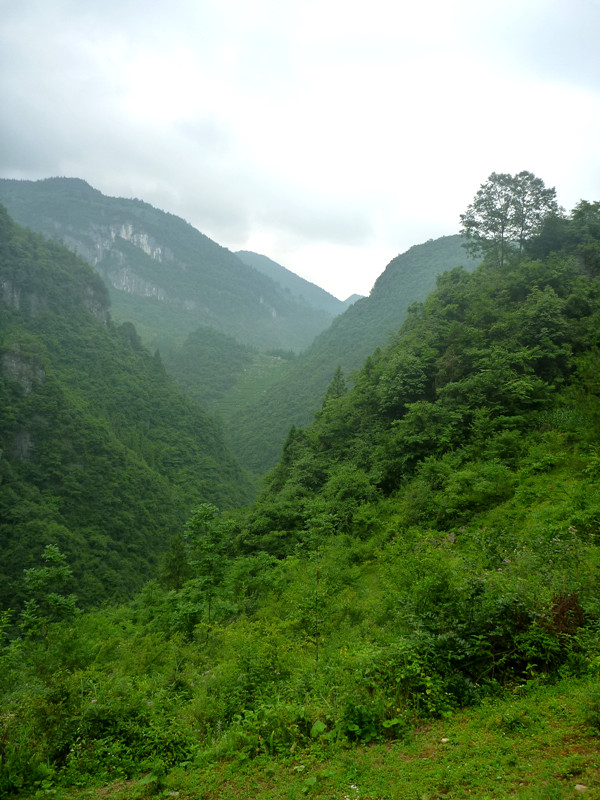 p1150788_副本.jpg