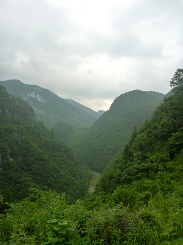p1150789_副本.jpg