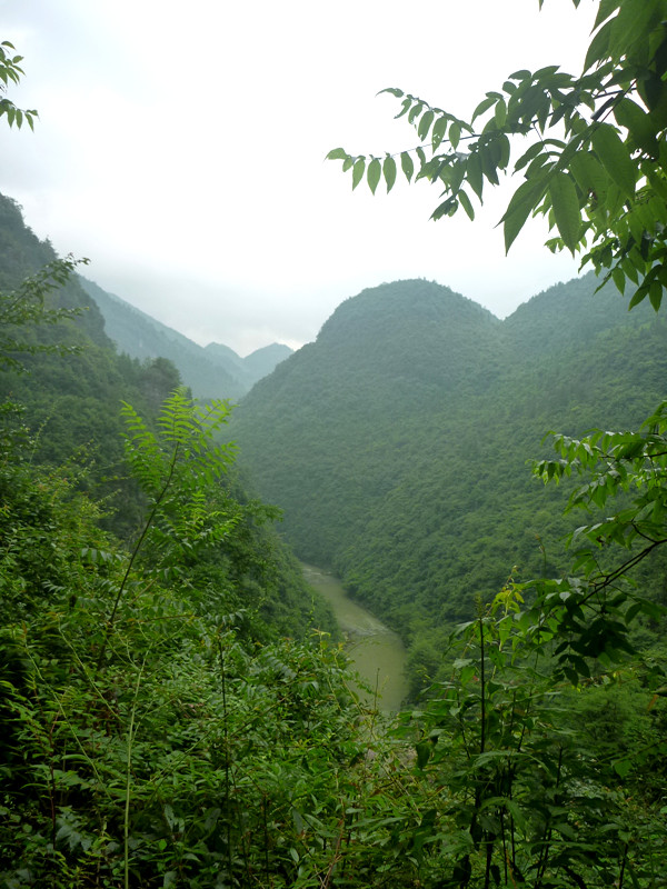 p1150790_副本.jpg
