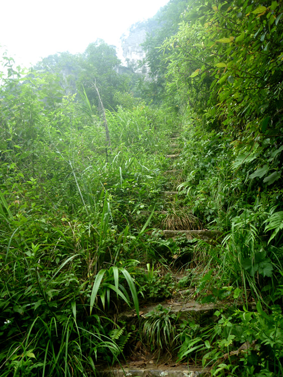 p1150796_副本.jpg