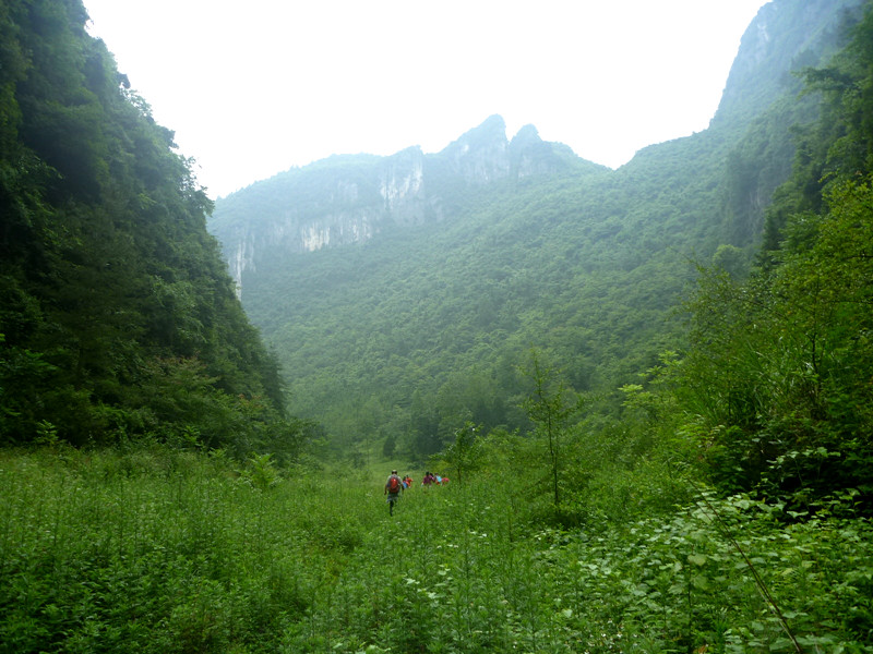 p1150811_副本.jpg