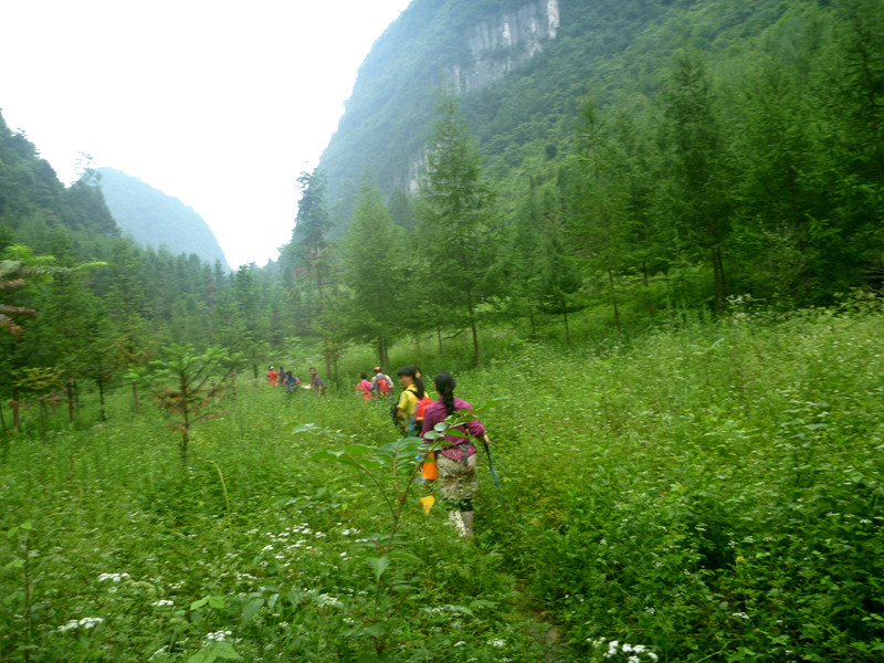 p1150815_副本.jpg