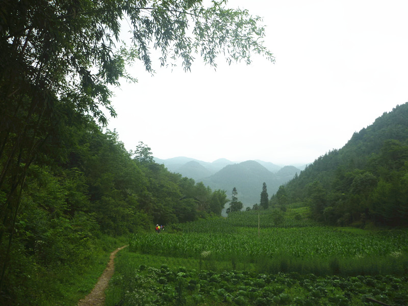 p1150777_副本.jpg