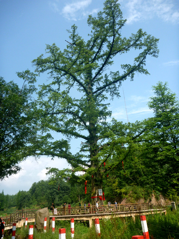 p1150739_.jpg