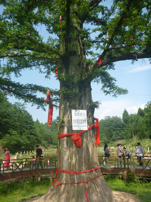 p1150740_.jpg