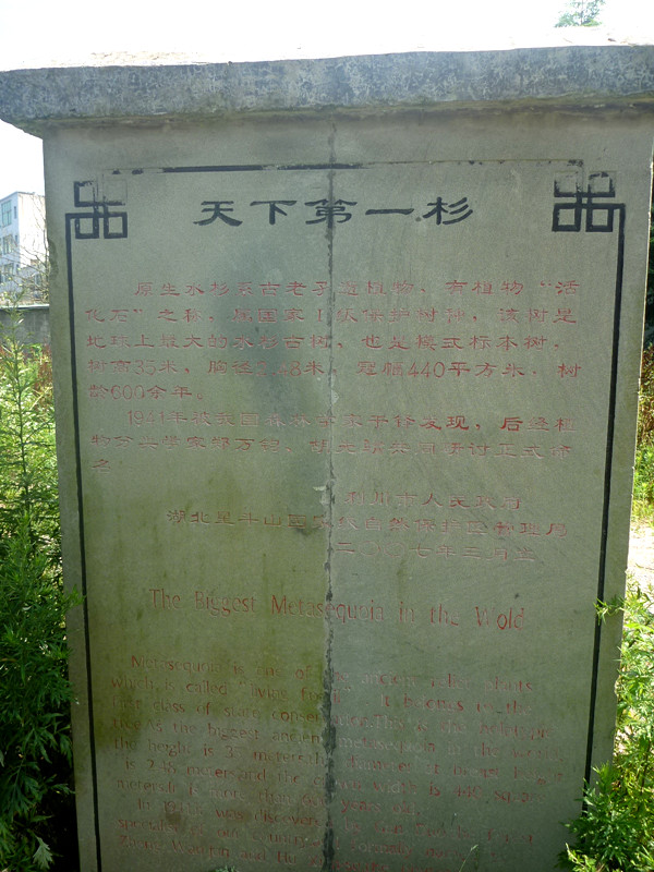 p1150741_.jpg