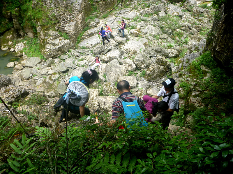 p1150844_.jpg