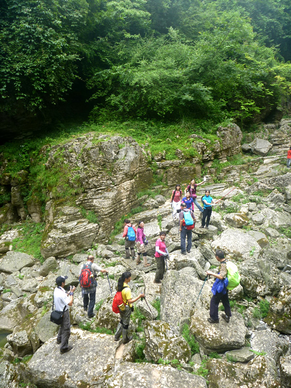 p1150848_.jpg