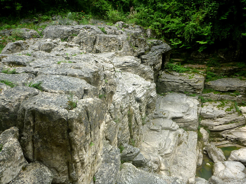 p1150856_.jpg