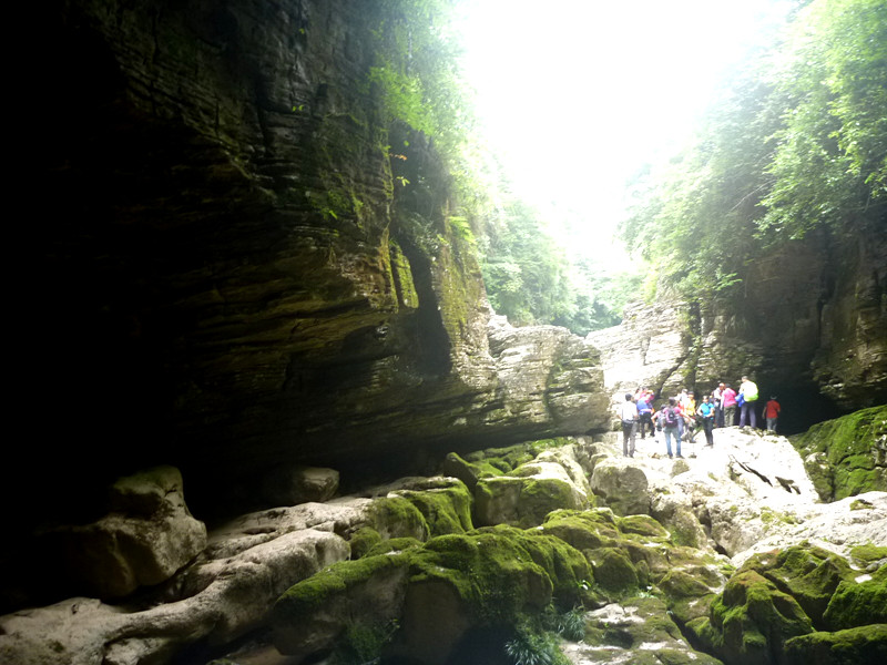 p1150860_.jpg