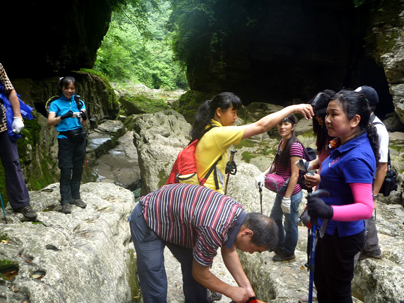 p1150863_.jpg