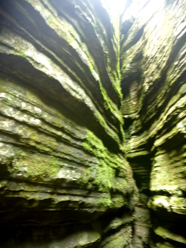 p1150868_.jpg