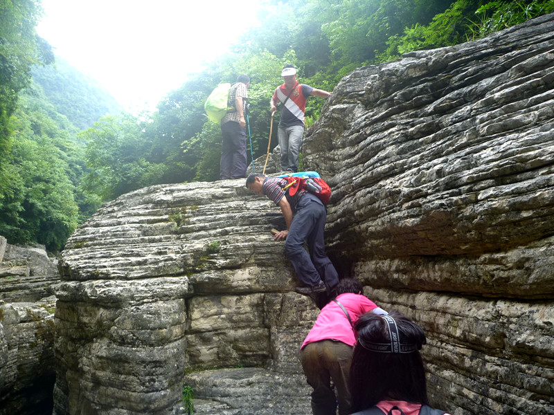 p1150871_.jpg