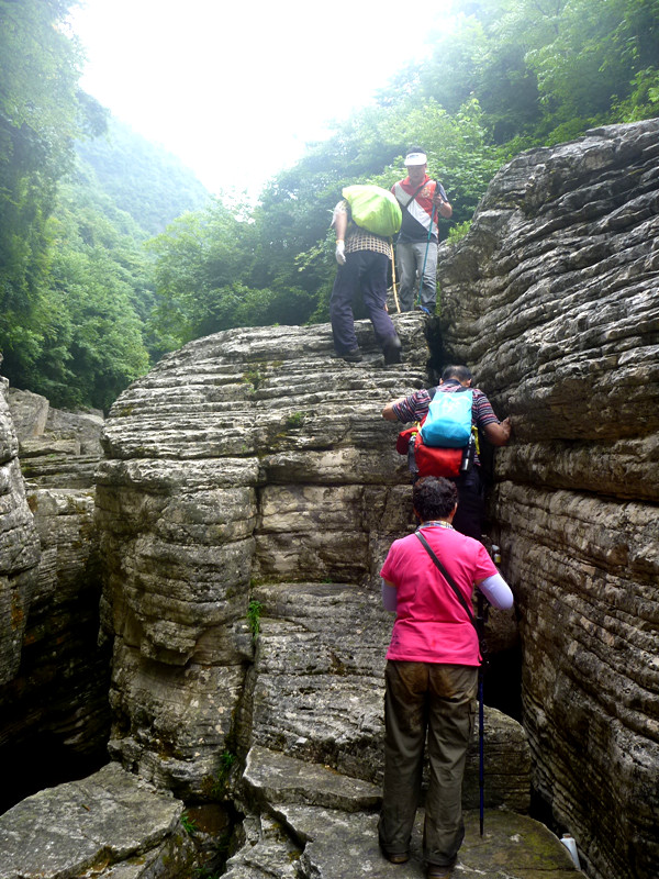 p1150870_.jpg