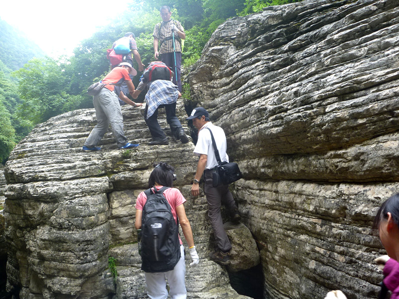 p1150873_.jpg