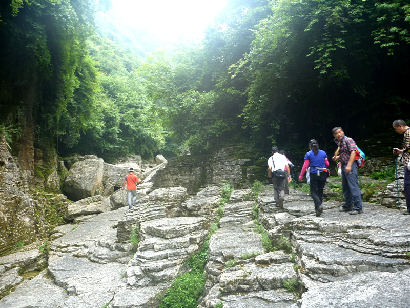 p1150879_.jpg