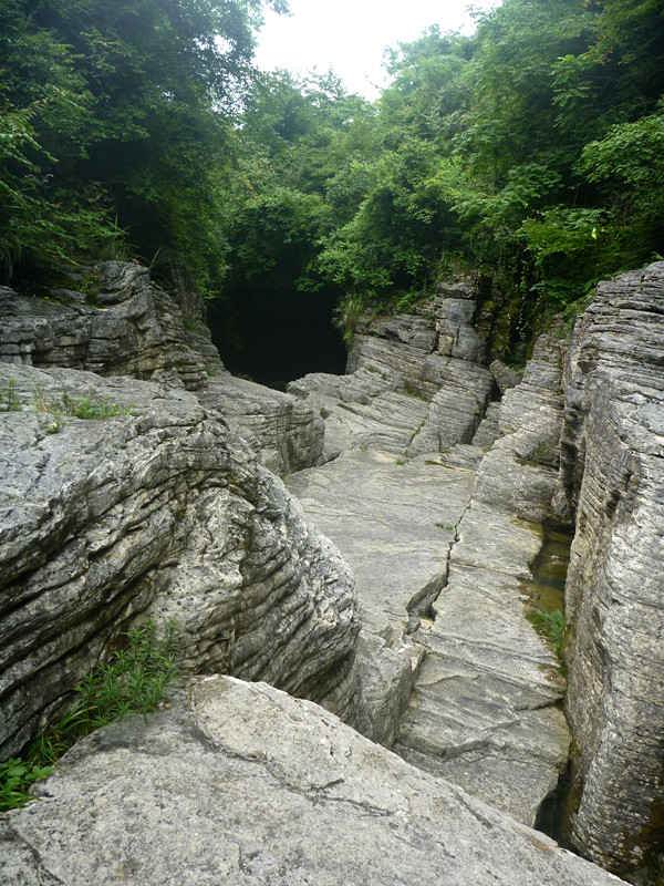 p1150878_.jpg
