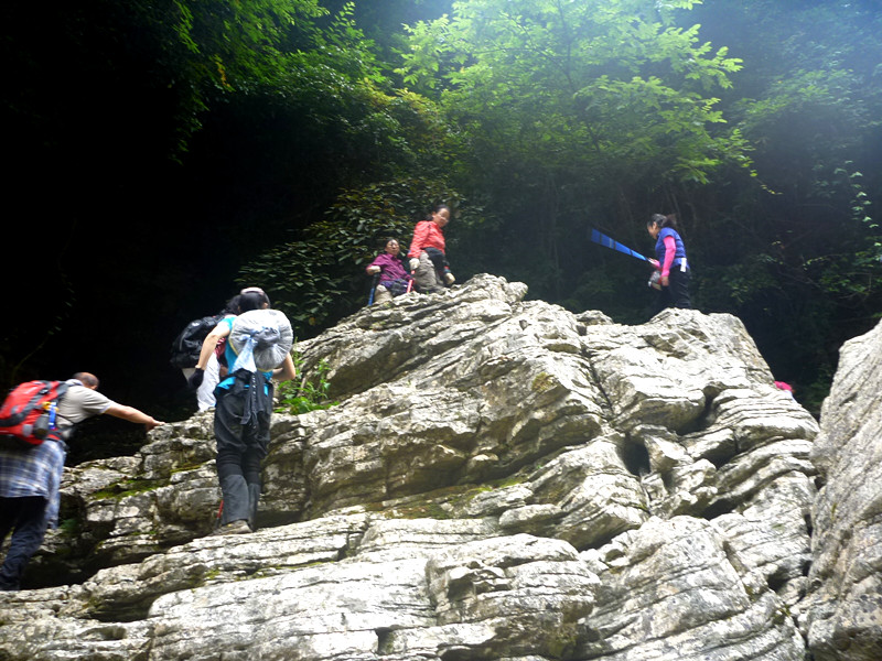 p1150885_.jpg