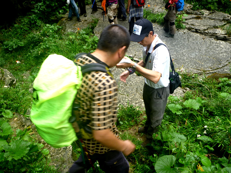p1150889_.jpg