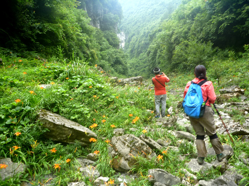 p1150891_.jpg