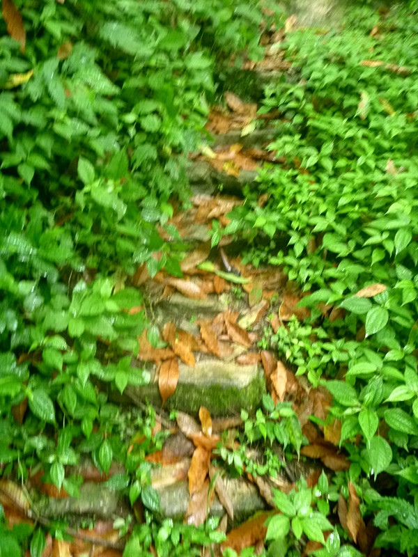 p1150840_.jpg