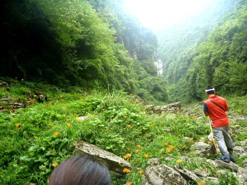 p1150890_.jpg