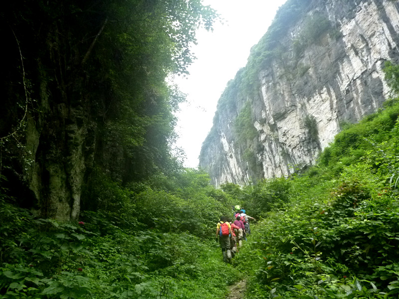 p1150899_.jpg