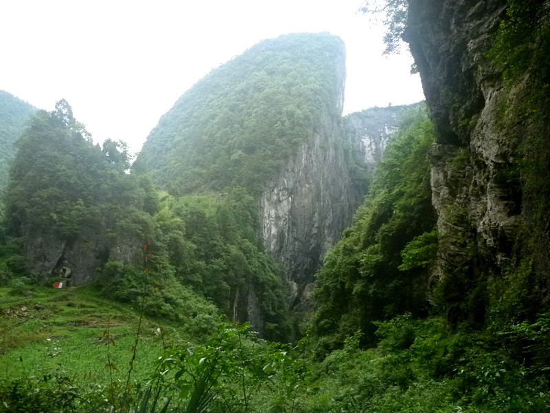 p1150900_.jpg