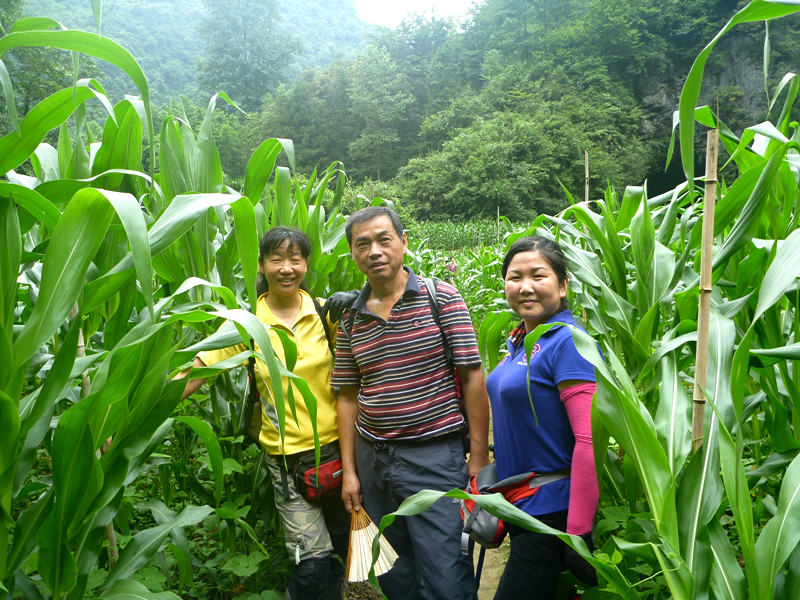p1150909_.jpg