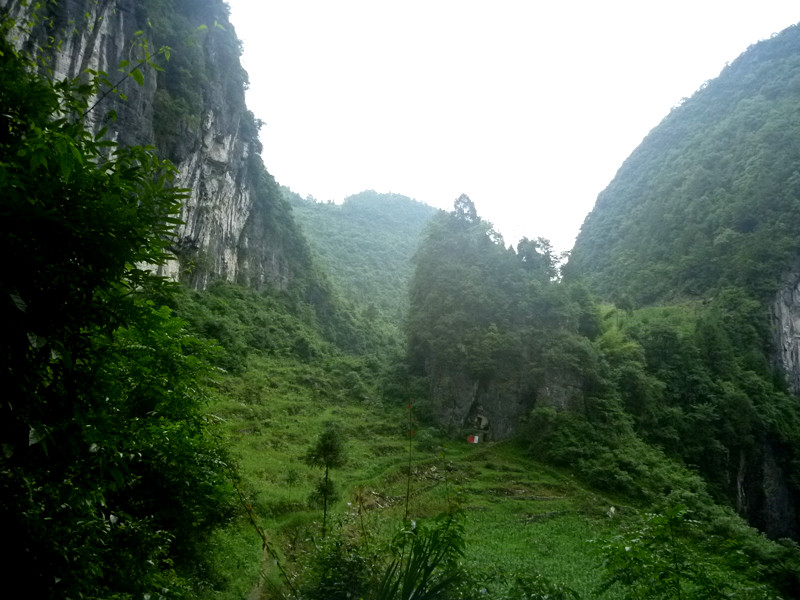 p1150901_.jpg