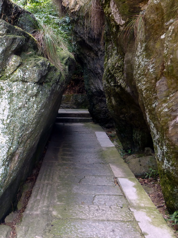 p1090414.jpg