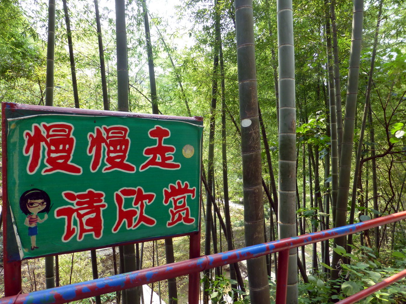 p1090418.jpg