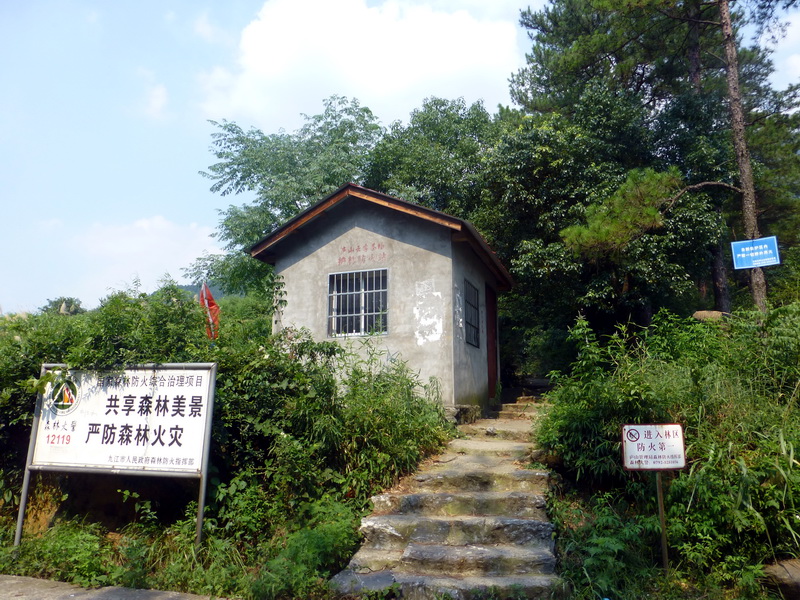 p1090427.jpg