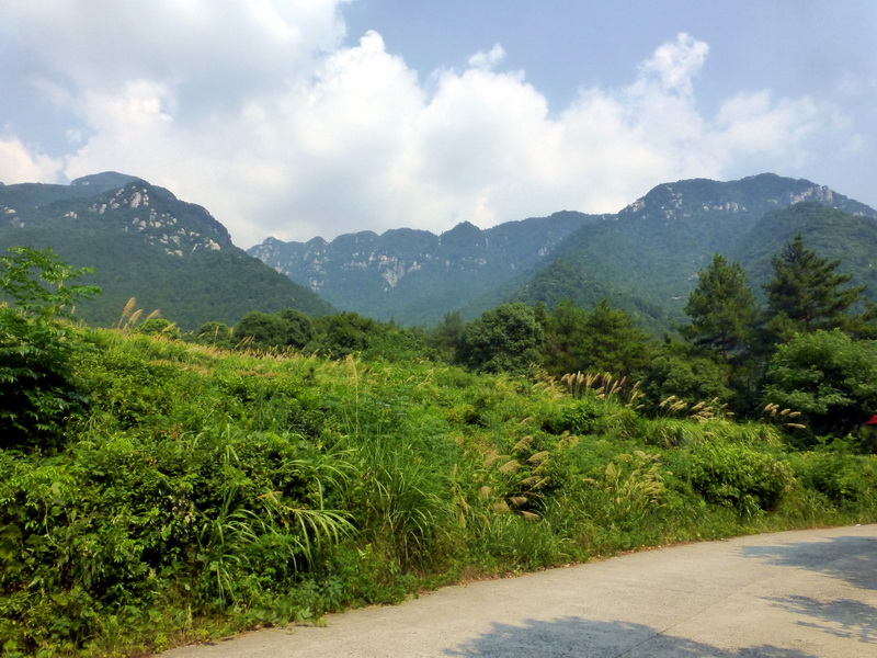 p1090428.jpg