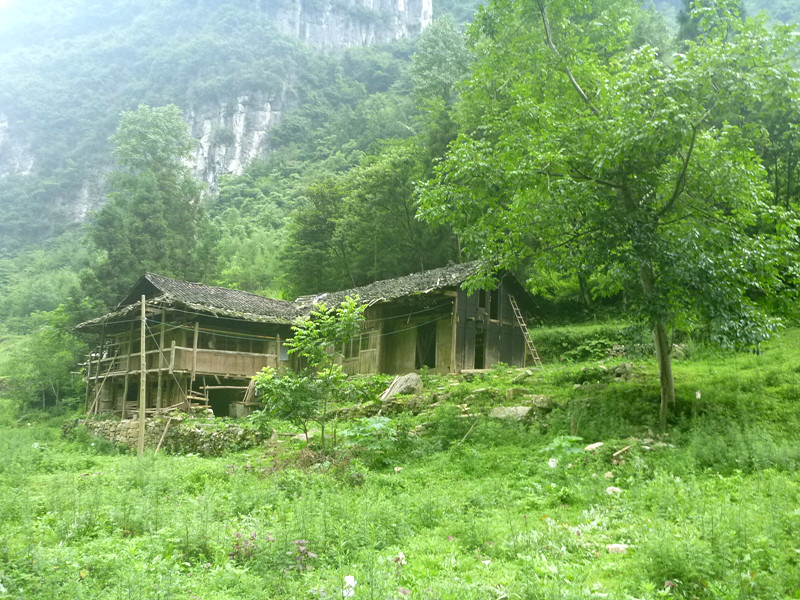 p1150818_.jpg