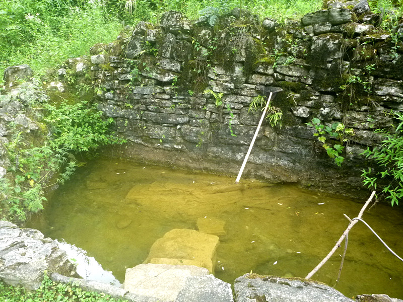 p1150822_.jpg
