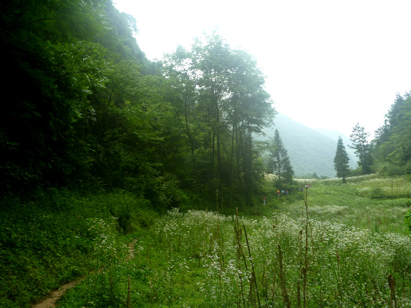 p1150823_.jpg