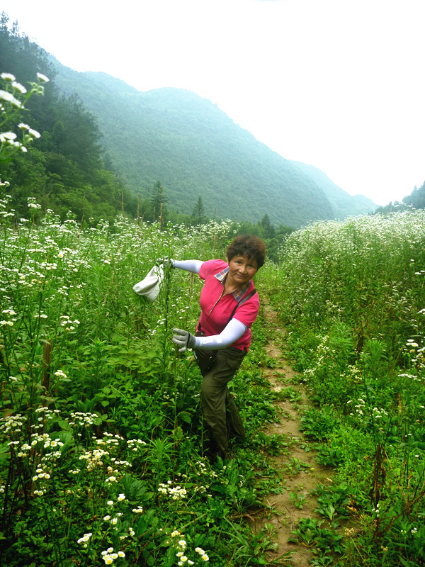 p1150825_.jpg