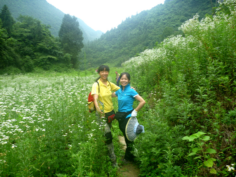 p1150828_.jpg