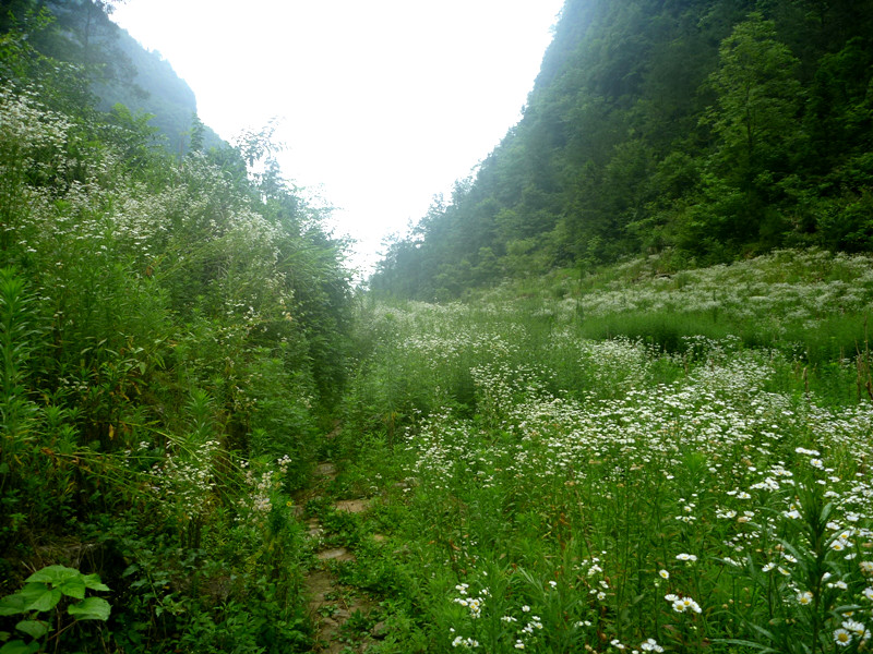 p1150830_.jpg